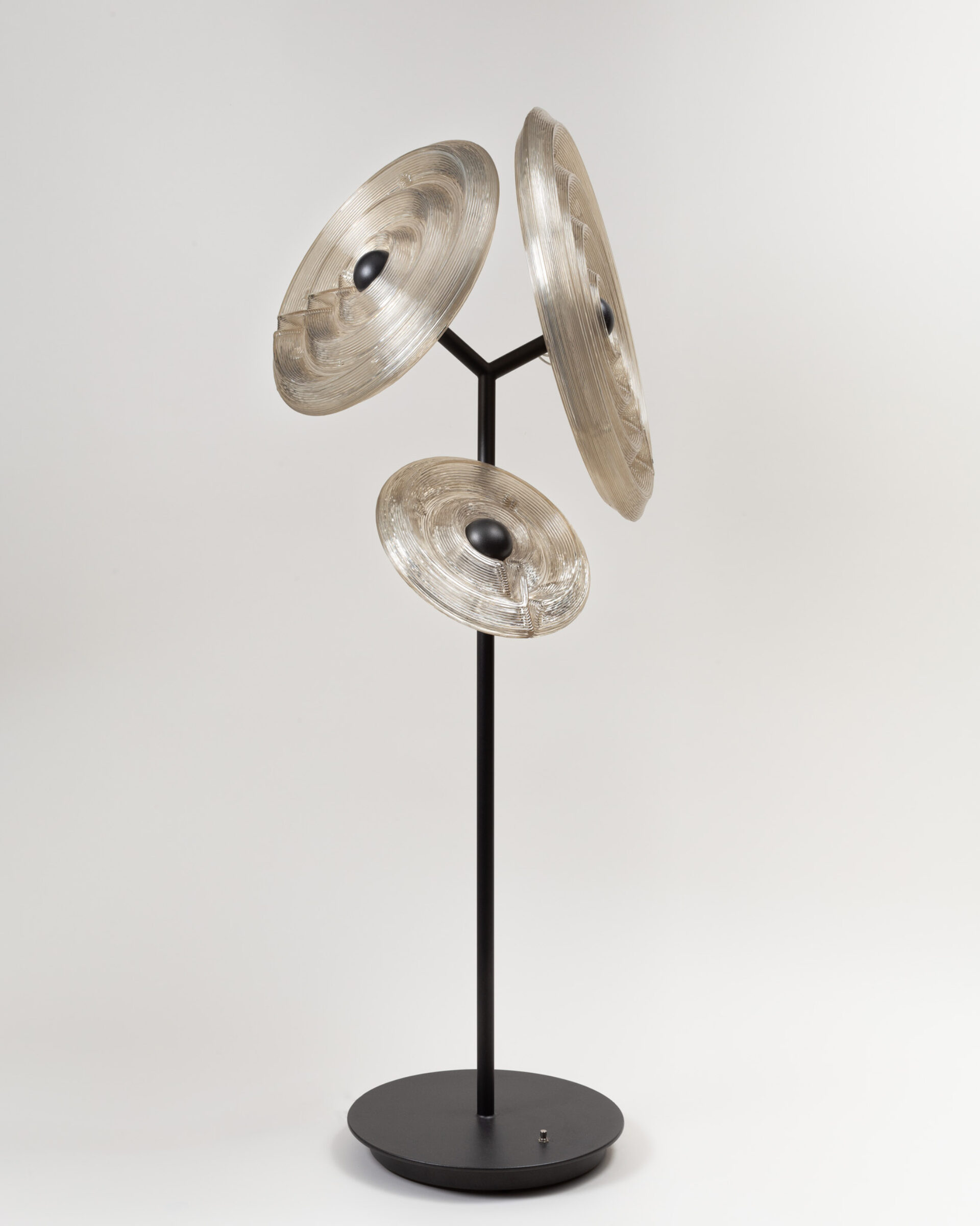 Dirk van der kooij sunflower light
