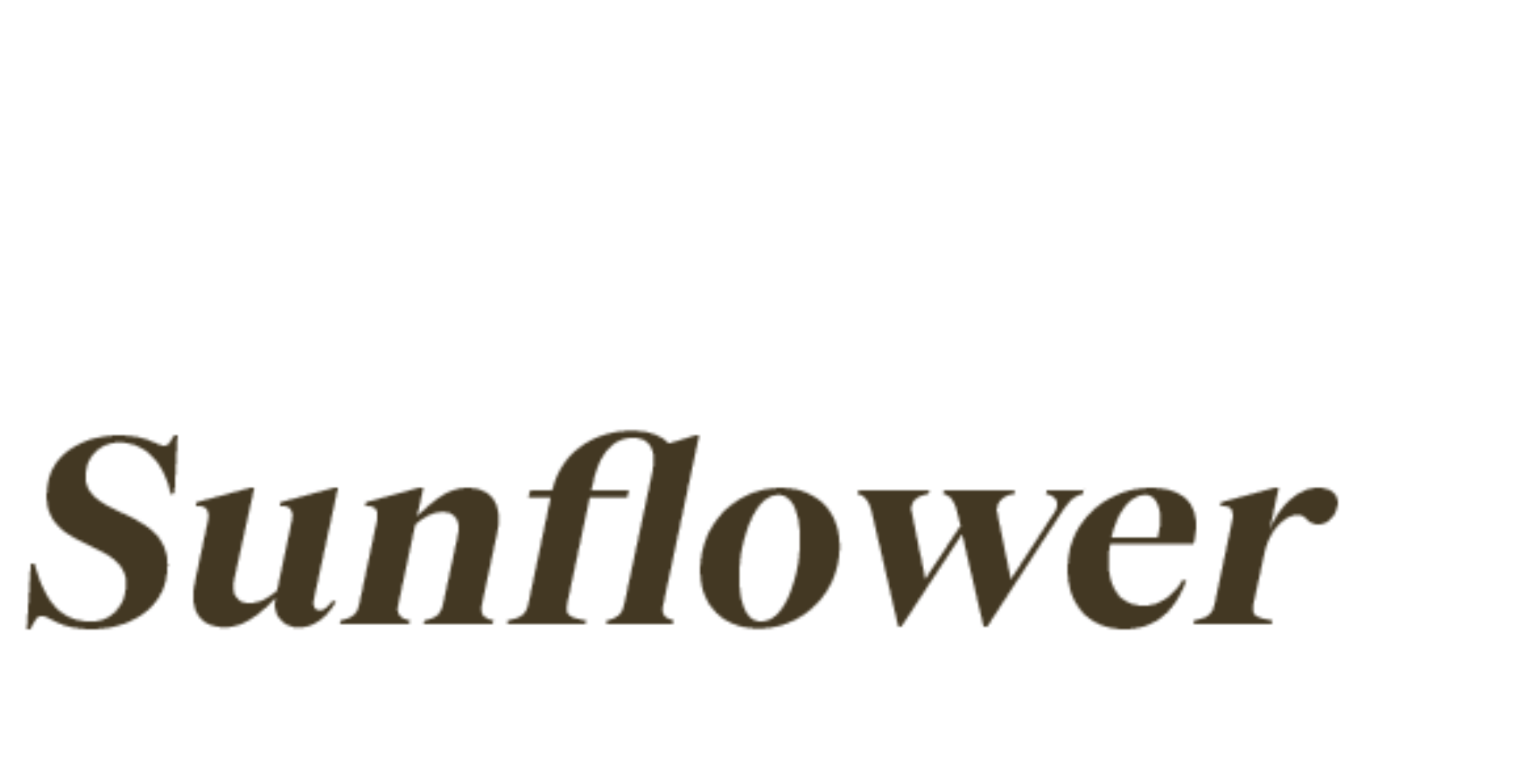 Sunflower